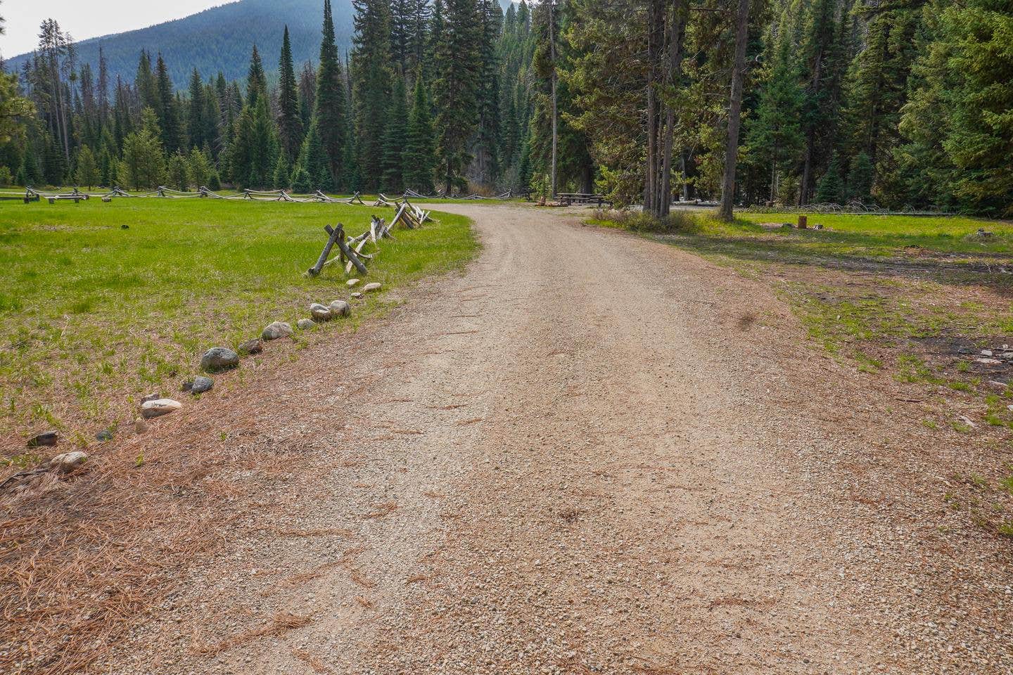 Camper submitted image from Fales Flat Campground - 1