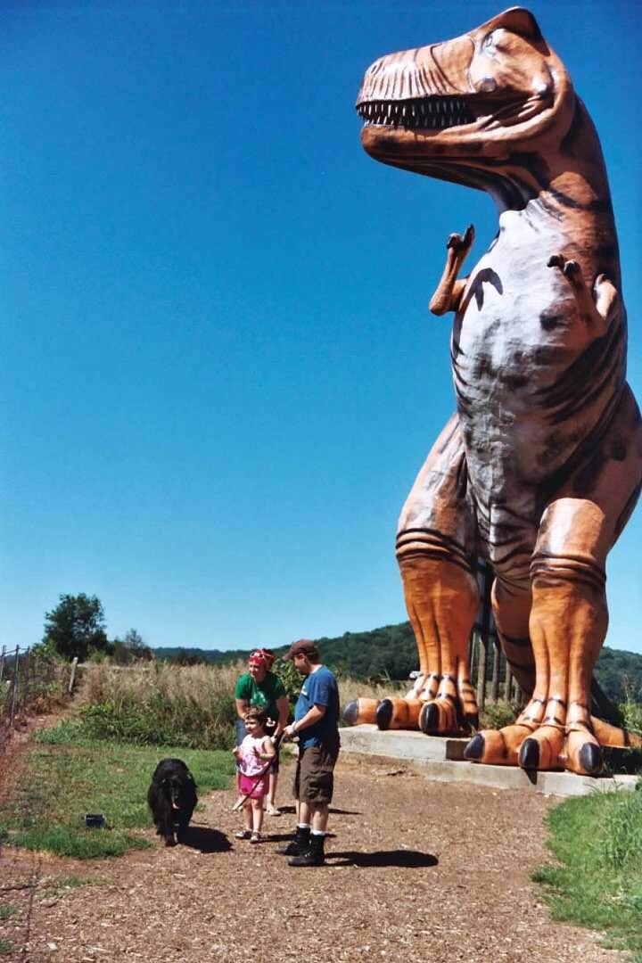 Joel R.'s photo of camping with pets at Yogi Bear's Jellystone Park at Mammoth Cave near Campbellsville, KY