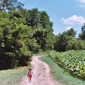 Review photo of Yogi Bear's Jellystone Park at Mammoth Cave by Joel R., April 12, 2019