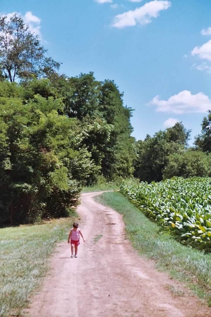 Camper submitted image from Yogi Bear's Jellystone Park at Mammoth Cave - 4