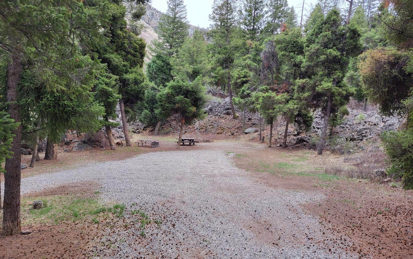 Camper submitted image from Williams Lake Campground - 1