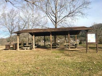 Camper submitted image from Wartrace Ck Rec Area - 1