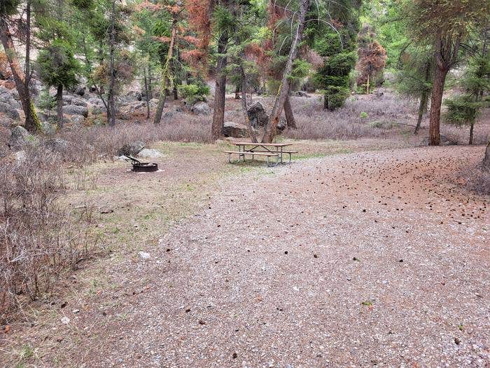 Camper submitted image from Williams Lake Campground - 3
