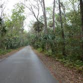 Review photo of Highlands Hammock State Park Campground by Bran P., August 26, 2016