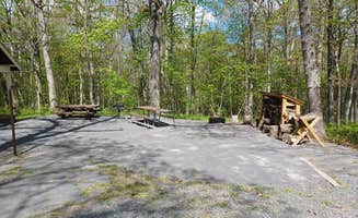 The Dyrt's photo of a cabin at Hopkins Mountain Fireman's Cabin — Monongahela National Forest near Warm Springs, VA