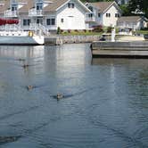Review photo of Swan Bay Resort - The 1000 Islands Premier RV Park & Marina by Bran P., August 26, 2016