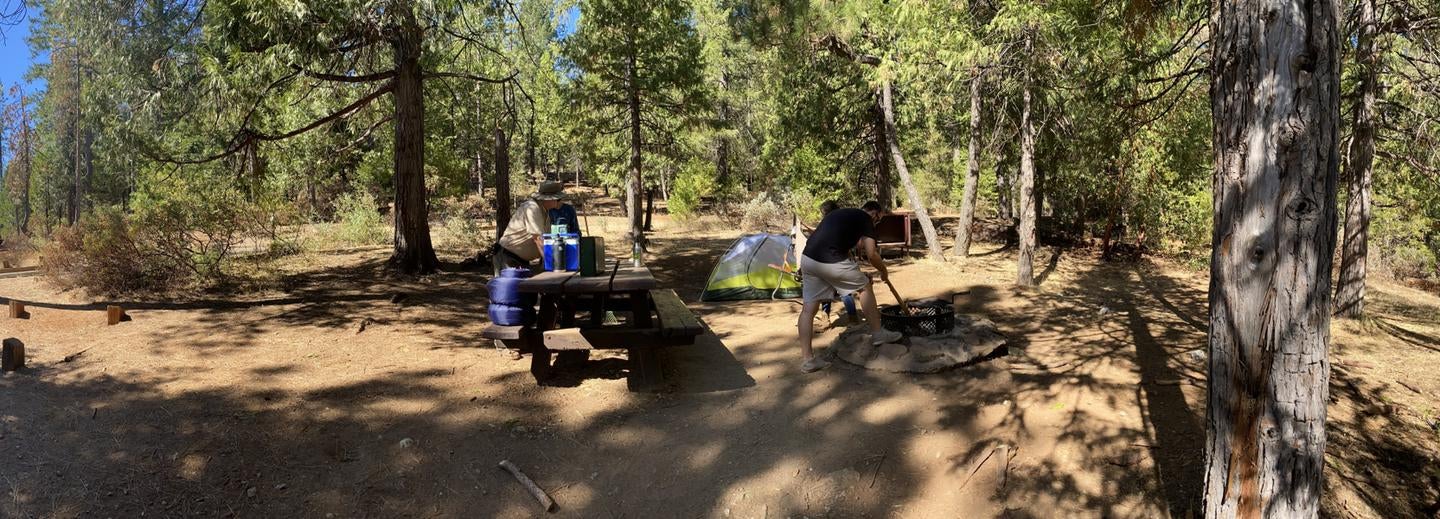 Camper submitted image from Shirttail Creek - 2