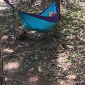 Review photo of Platte River Campground — Sleeping Bear Dunes National Lakeshore by Nikki M., April 13, 2019