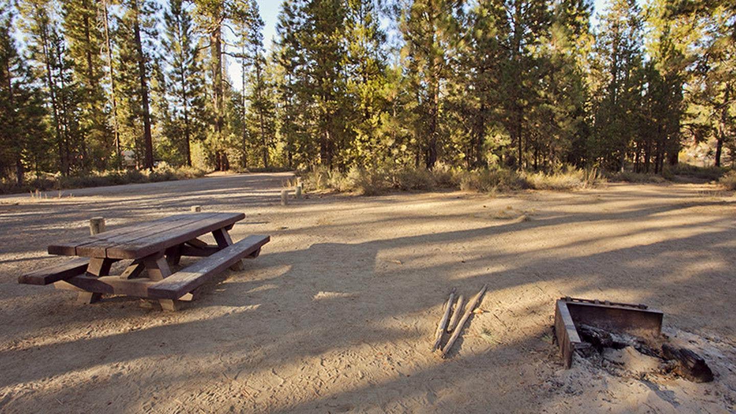 Camper submitted image from Bull Bend Campground - 4