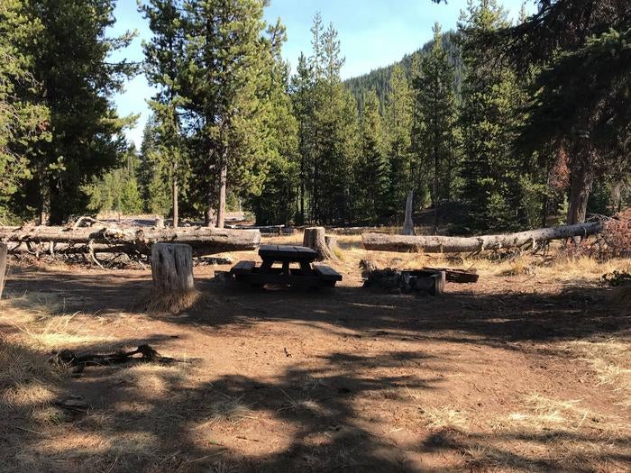 Camper submitted image from Soda Creek Campground - 5