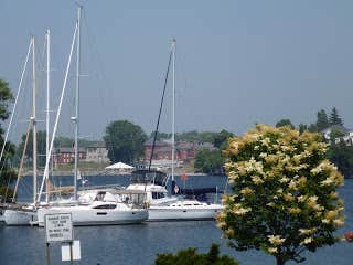 Camper submitted image from Swan Bay Resort - The 1000 Islands Premier RV Park & Marina - 5