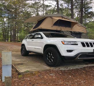 Camper-submitted photo from Lake Martin Recreation Area