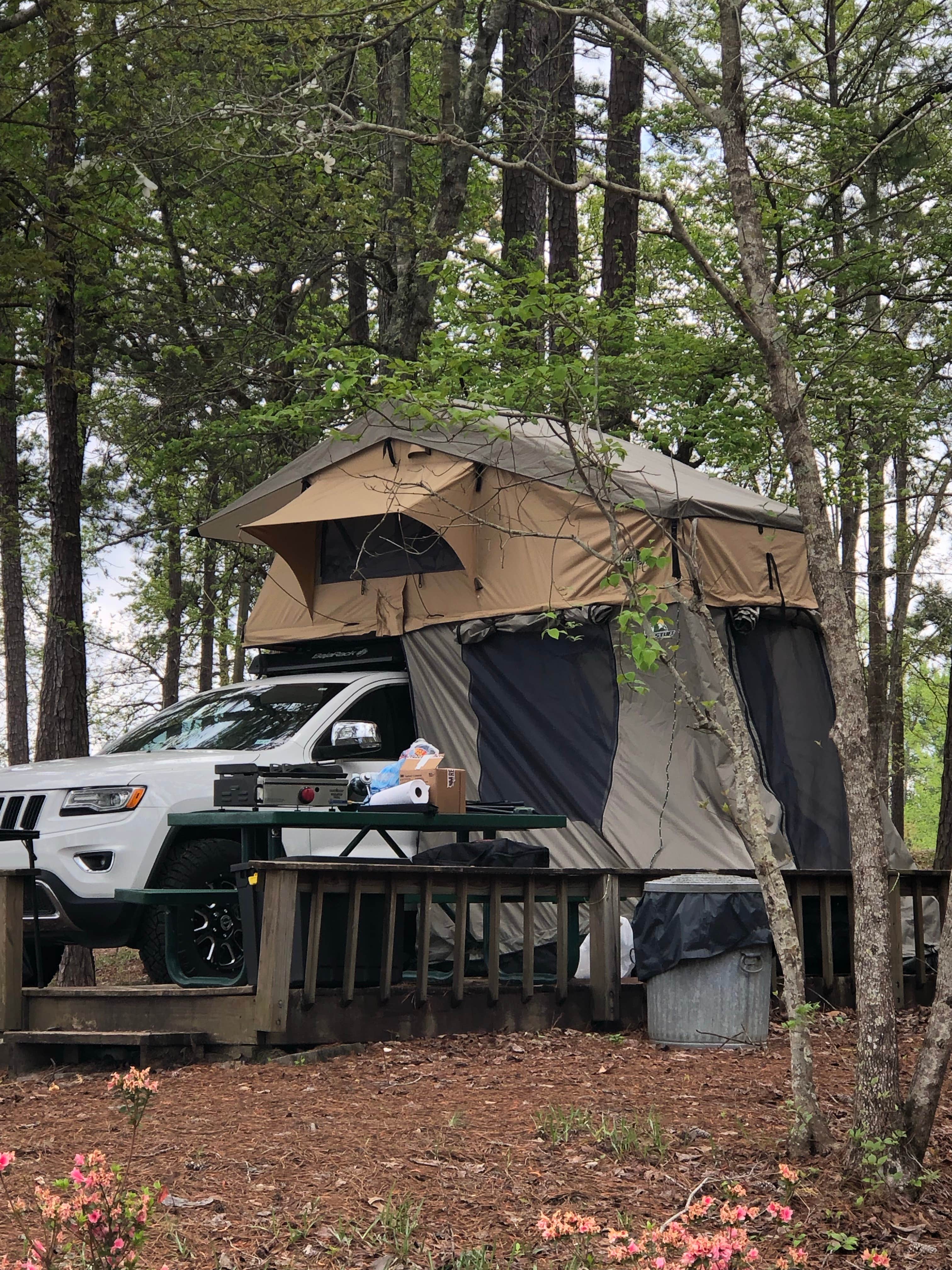 Camper-submitted photo at Lake Martin Recreation Area near Dadeville, AL