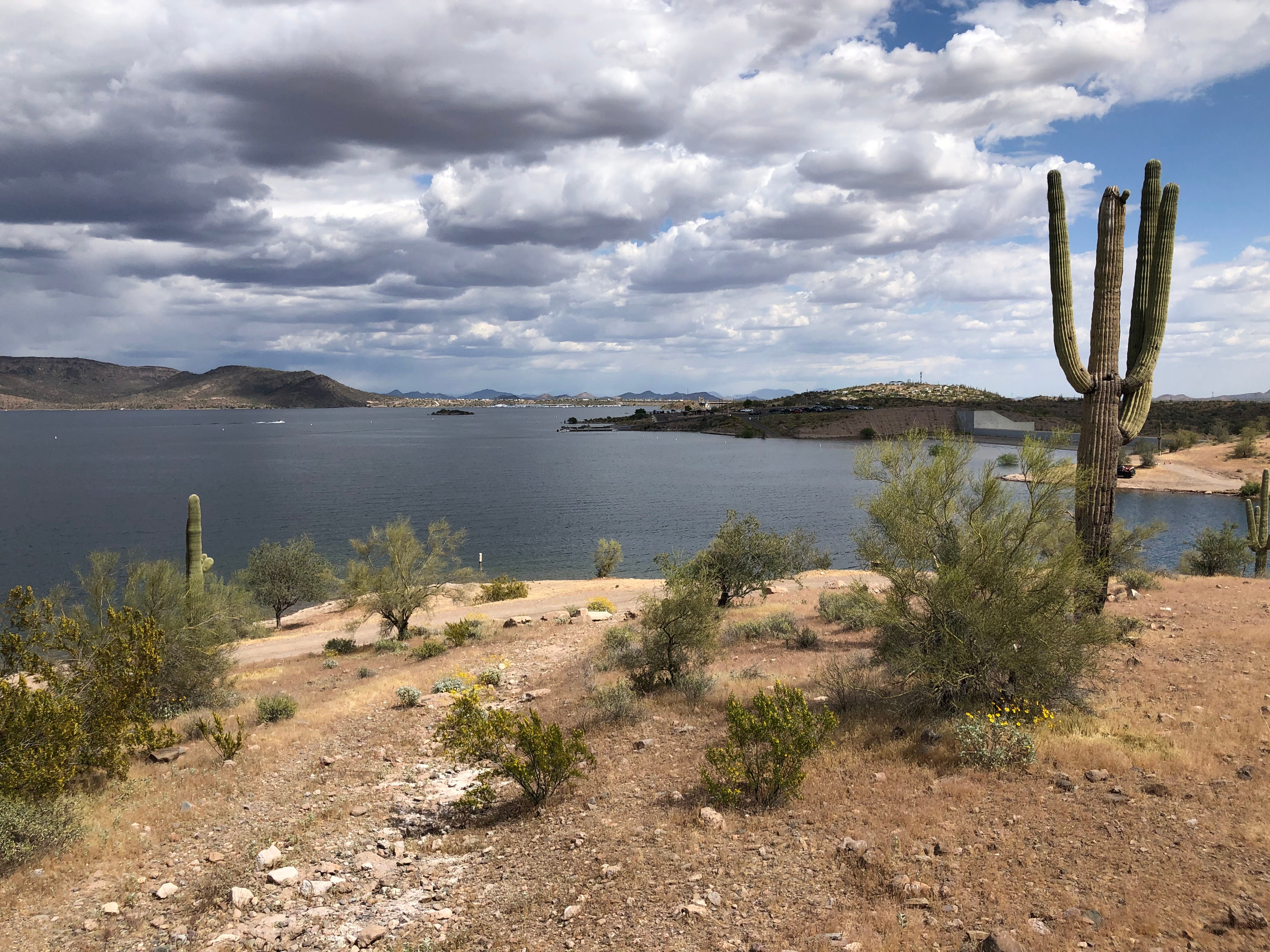 Camper submitted image from Lake Pleasant Regional Park Campground - 3