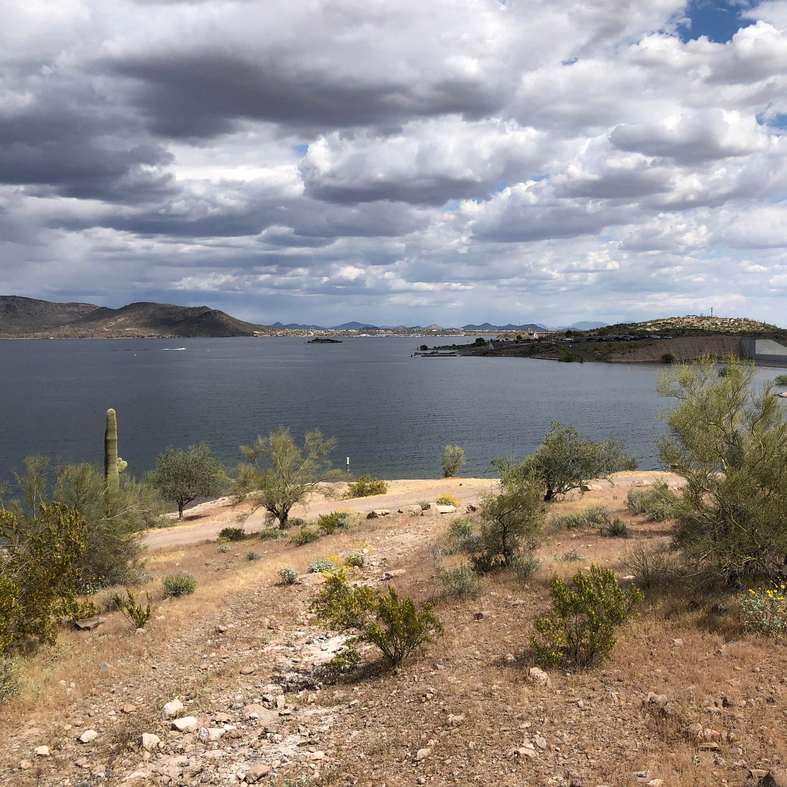 Lake Pleasant Regional Park Campground Camping The Dyrt