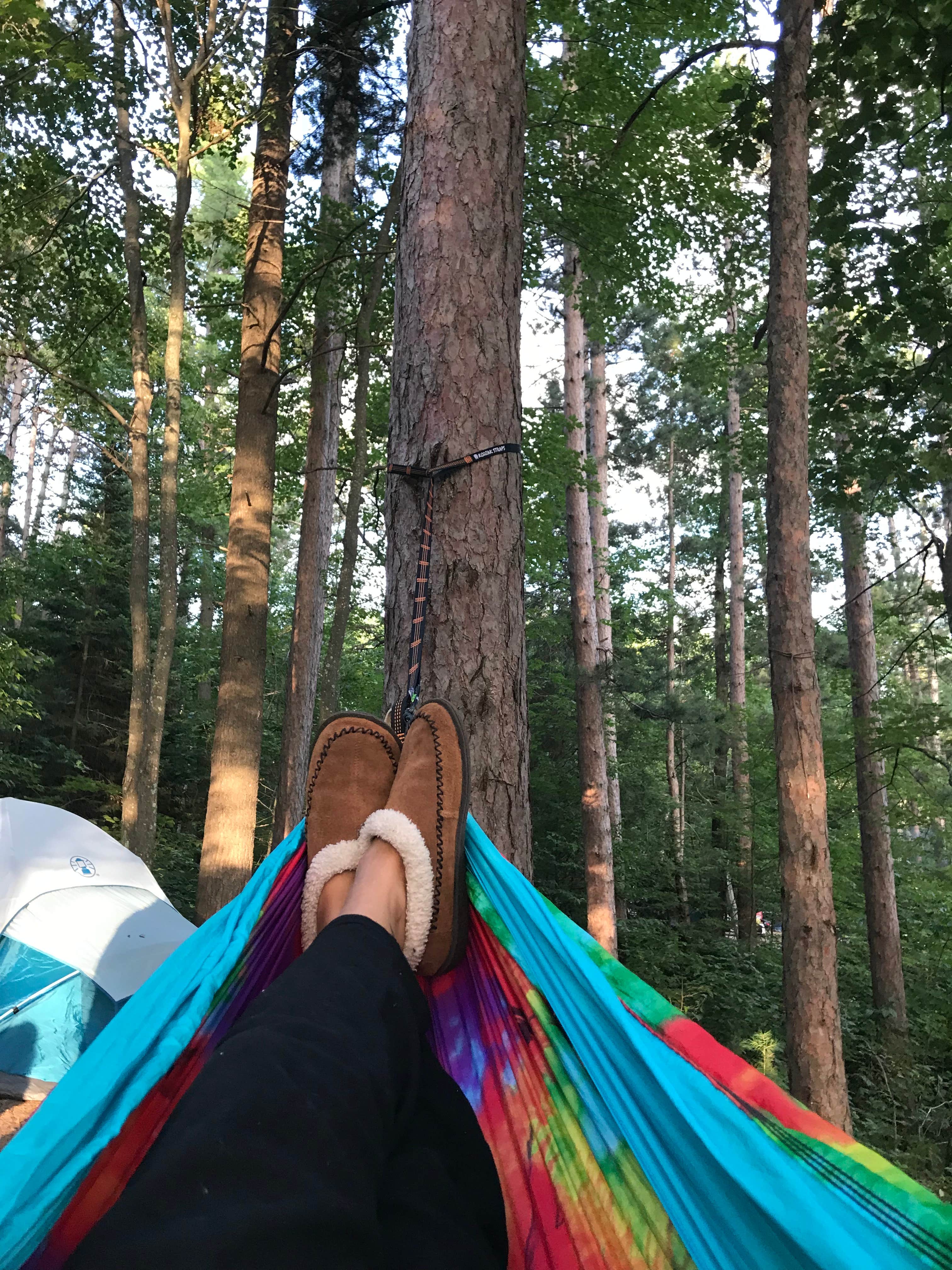 Camper submitted image from Cunnard Lake — Northern Highland State Forest - 4