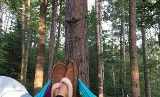AnneMarie C.'s photo at Cunnard Lake — Northern Highland State Forest near Rhinelander, WI