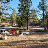 Review photo of North Campground — Bryce Canyon National Park by Shay F., April 13, 2019