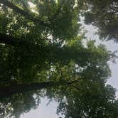 Review photo of Mccormick's Creek State Park Campground by Sammi H., April 13, 2019