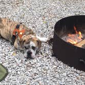 Review photo of Mccormick's Creek State Park Campground by Sammi H., April 13, 2019