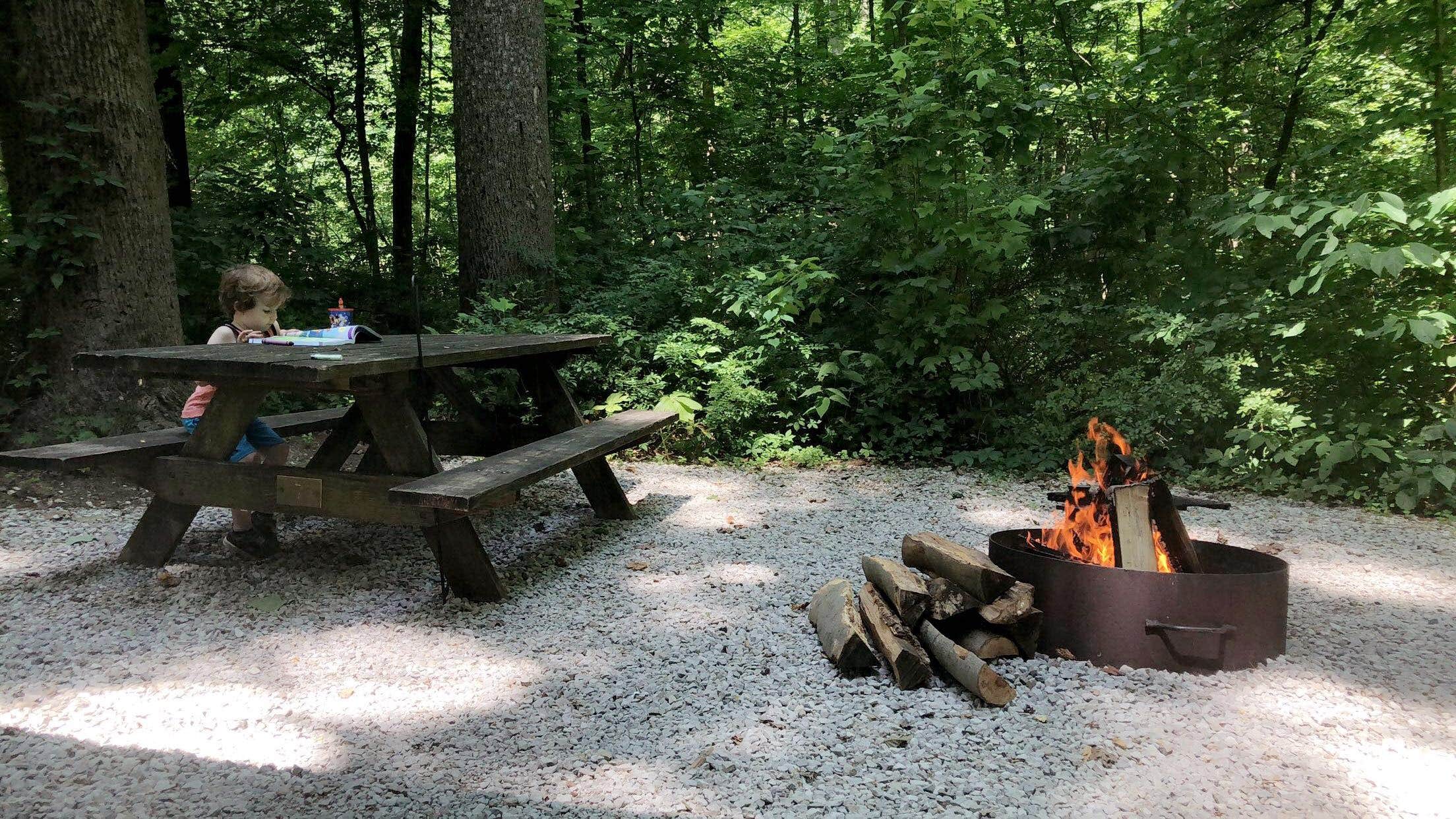 Camper submitted image from Mccormick's Creek State Park Campground - 1