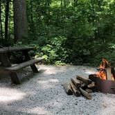 Review photo of Mccormick's Creek State Park Campground by Sammi H., April 13, 2019