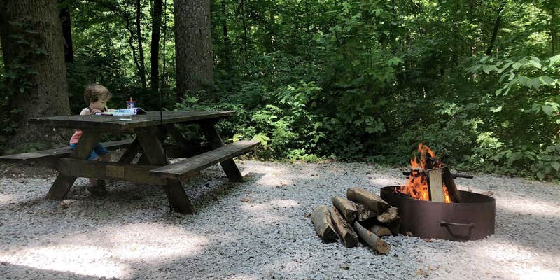 Camper submitted image from Mccormick's Creek State Park Campground
