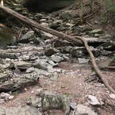 Review photo of Mccormick's Creek State Park Campground by Sammi H., April 13, 2019