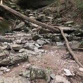 Review photo of Mccormick's Creek State Park by Sammi H., April 13, 2019