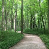 Review photo of Mccormick's Creek State Park Campground by Sammi H., April 13, 2019