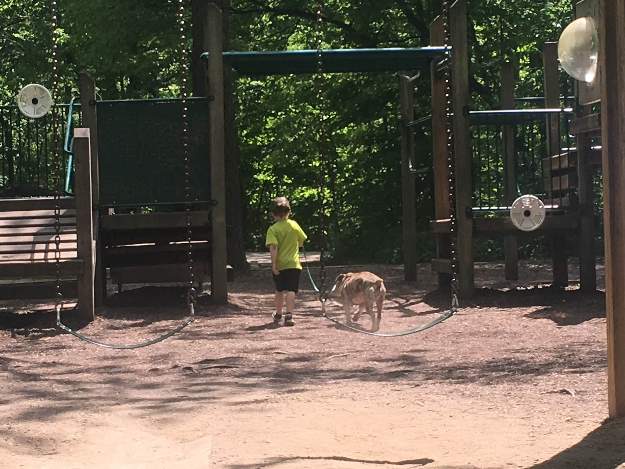 Sammi H.'s photo of camping with pets at Mccormick's Creek State Park Campground near Bloomington, IN