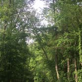 Review photo of Mccormick's Creek State Park Campground by Sammi H., April 13, 2019