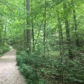 Review photo of Mccormick's Creek State Park Campground by Sammi H., April 13, 2019