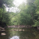 Review photo of Mccormick's Creek State Park Campground by Sammi H., April 13, 2019