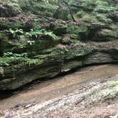 Review photo of Turkey Run State Park Campground — Turkey Run State Park by Sammi H., April 13, 2019