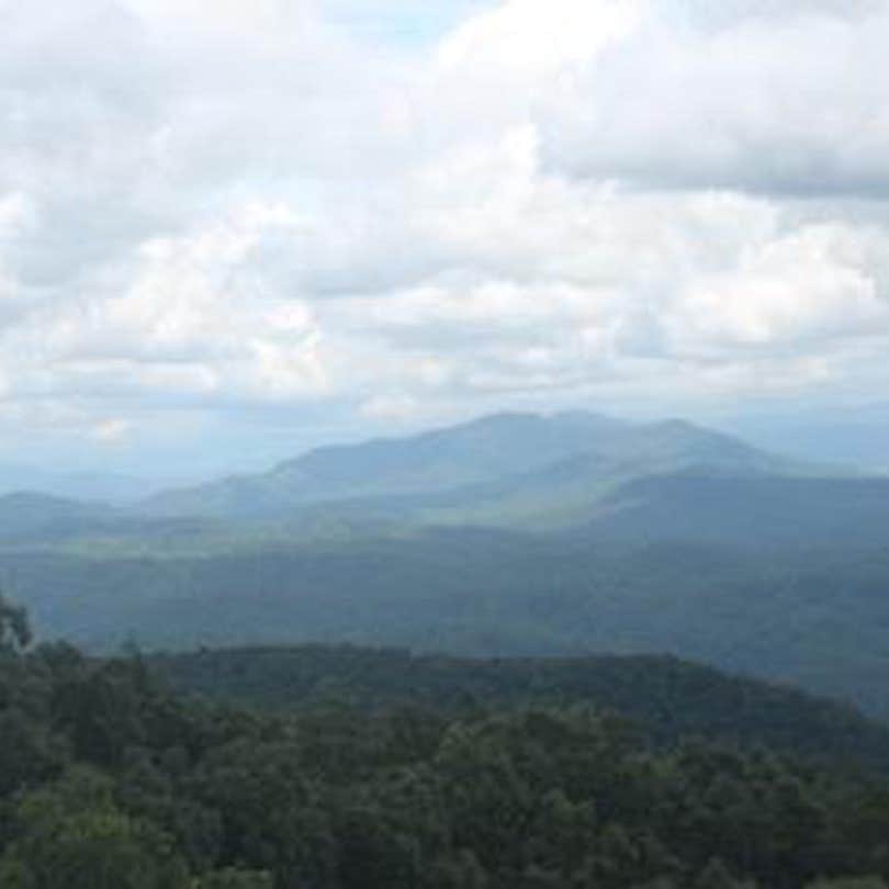 Look Rock Campground — Great Smoky Mountains National Park