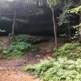 Review photo of Turkey Run State Park Campground — Turkey Run State Park by Sammi H., April 13, 2019