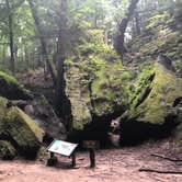 Review photo of Turkey Run State Park Campground — Turkey Run State Park by Sammi H., April 13, 2019
