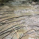 Review photo of Turkey Run State Park Campground — Turkey Run State Park by Sammi H., April 13, 2019