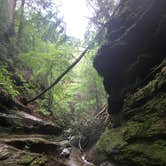 Review photo of Turkey Run State Park Campground — Turkey Run State Park by Sammi H., April 13, 2019