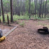 Review photo of George L Smith II State Park Campground by Bethany G., April 13, 2019