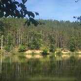 Review photo of Taylor Ridge Campground — Brown County State Park by Sammi H., April 13, 2019