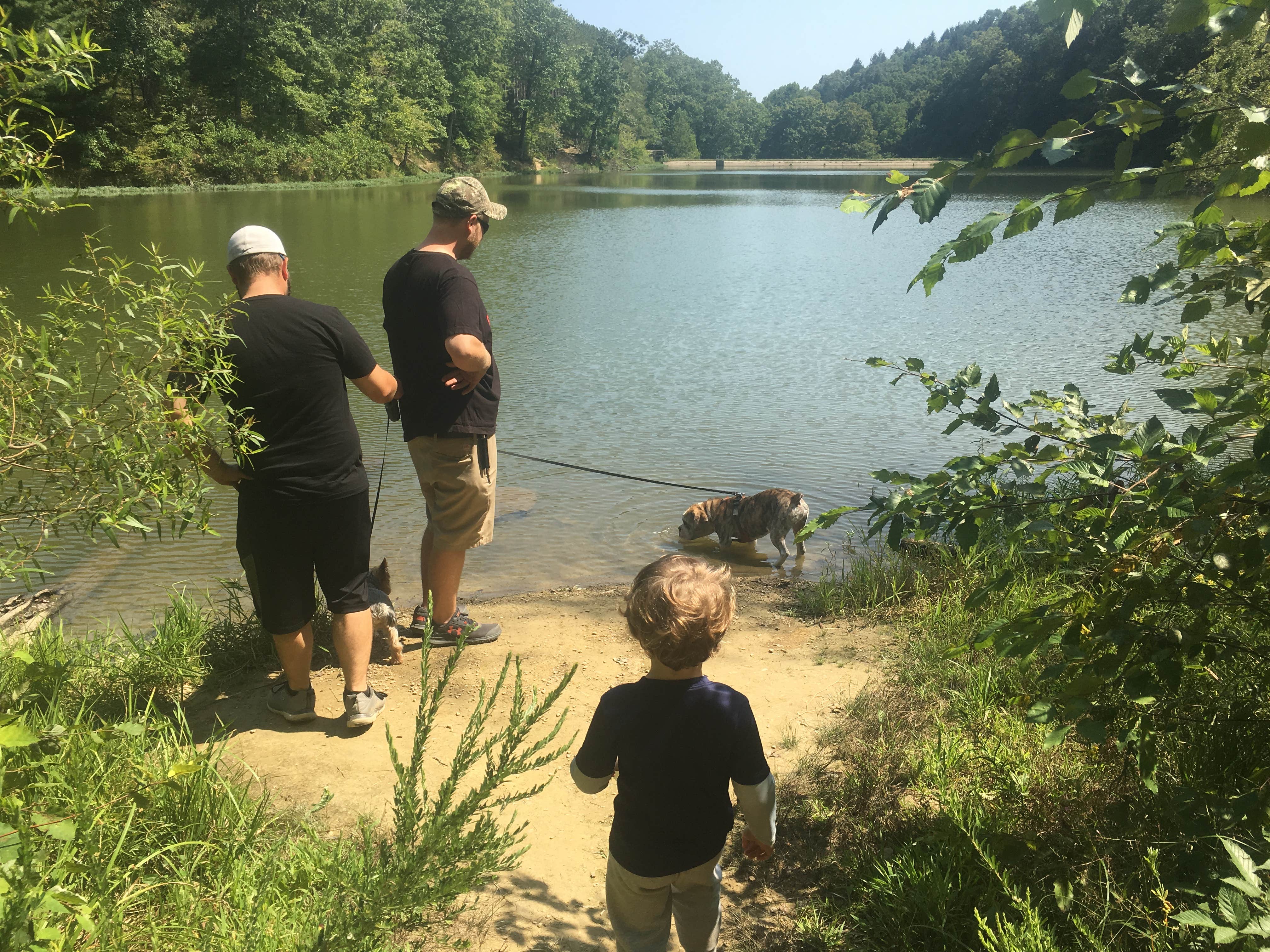 Sammi H.'s photo of camping with pets at Taylor Ridge Campground — Brown County State Park near Shelbyville, IN