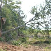 Review photo of Hernando Point by Bran P., August 26, 2016
