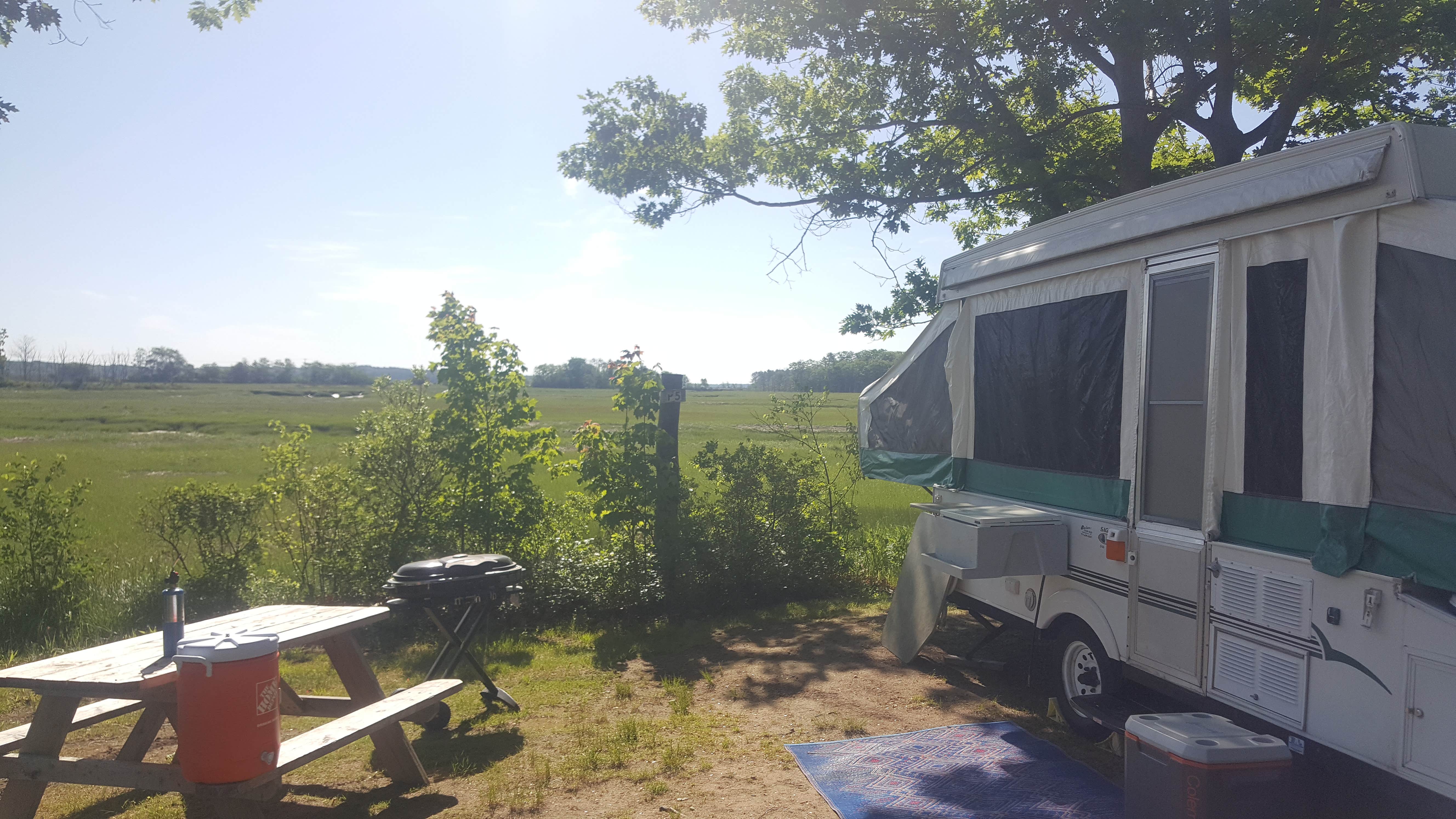 Camper submitted image from Wild Duck Adult Campground & RV Park - 2