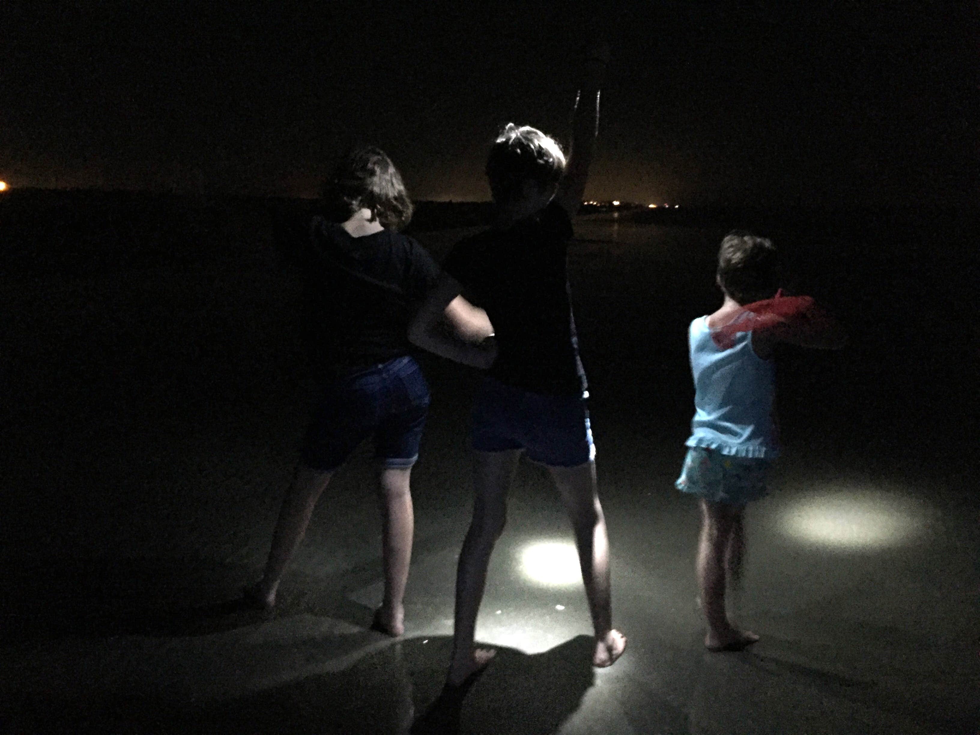 Camper submitted image from Galveston Island State Park Campground - 3