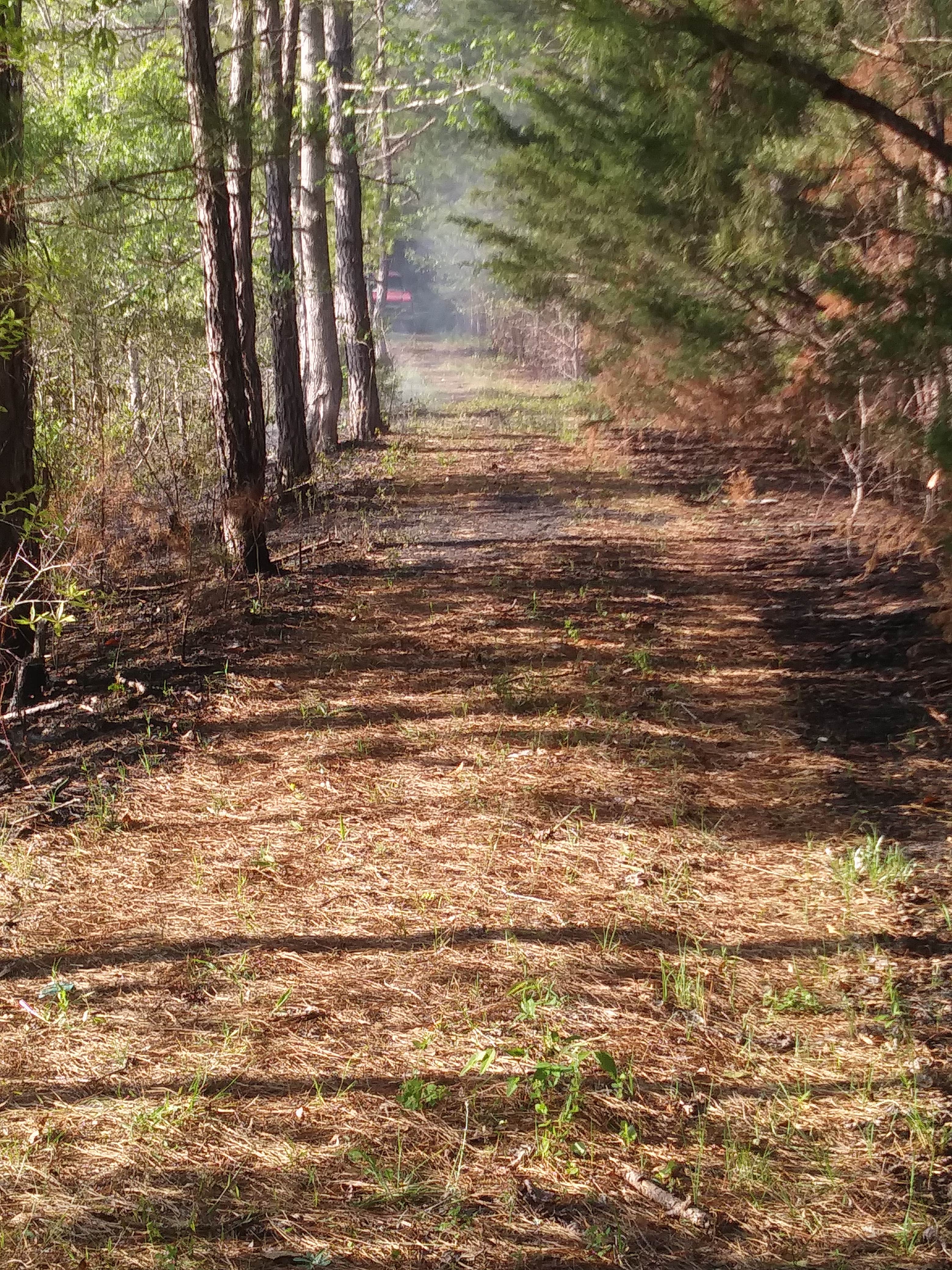 Camper submitted image from Murchison Farm - 2