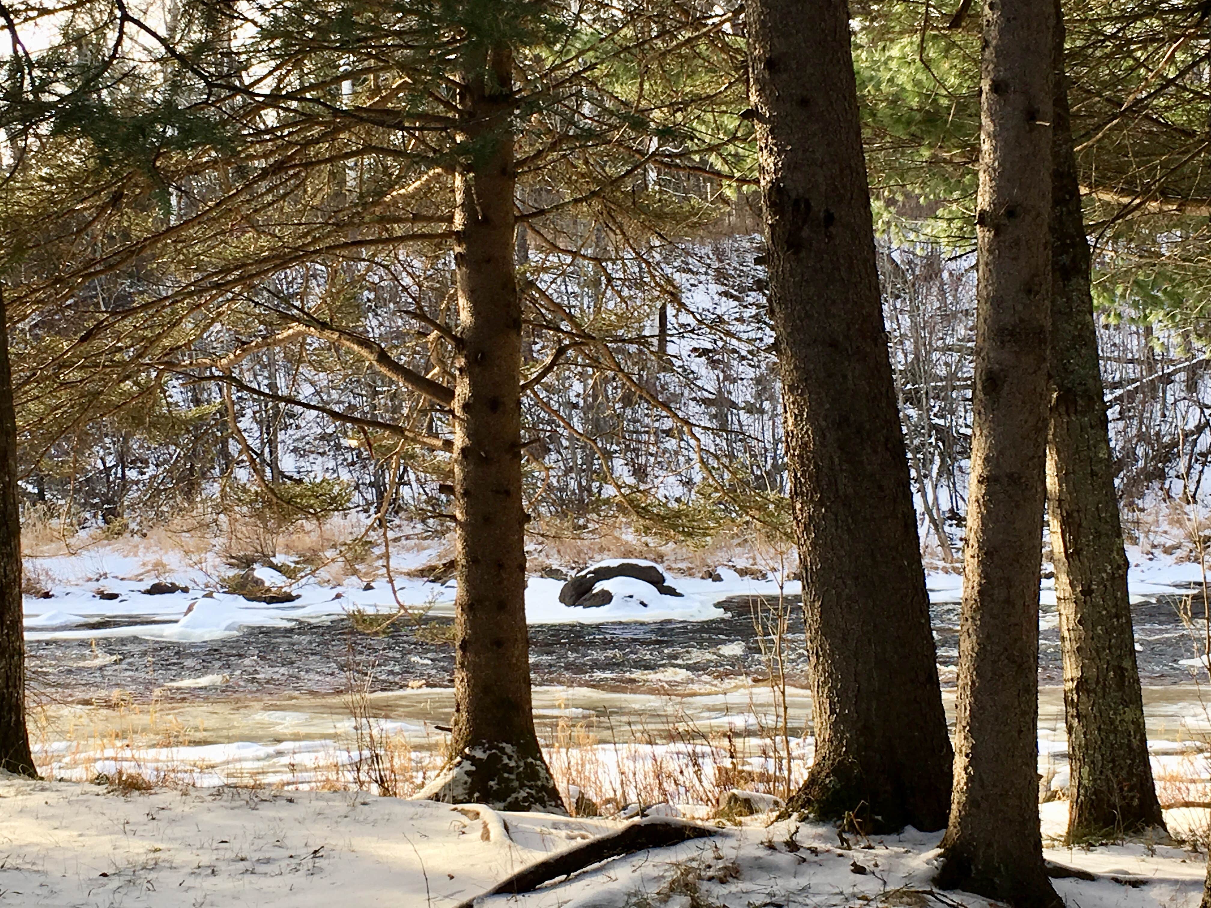 Camper submitted image from Eckbeck Finland State Forest - 2