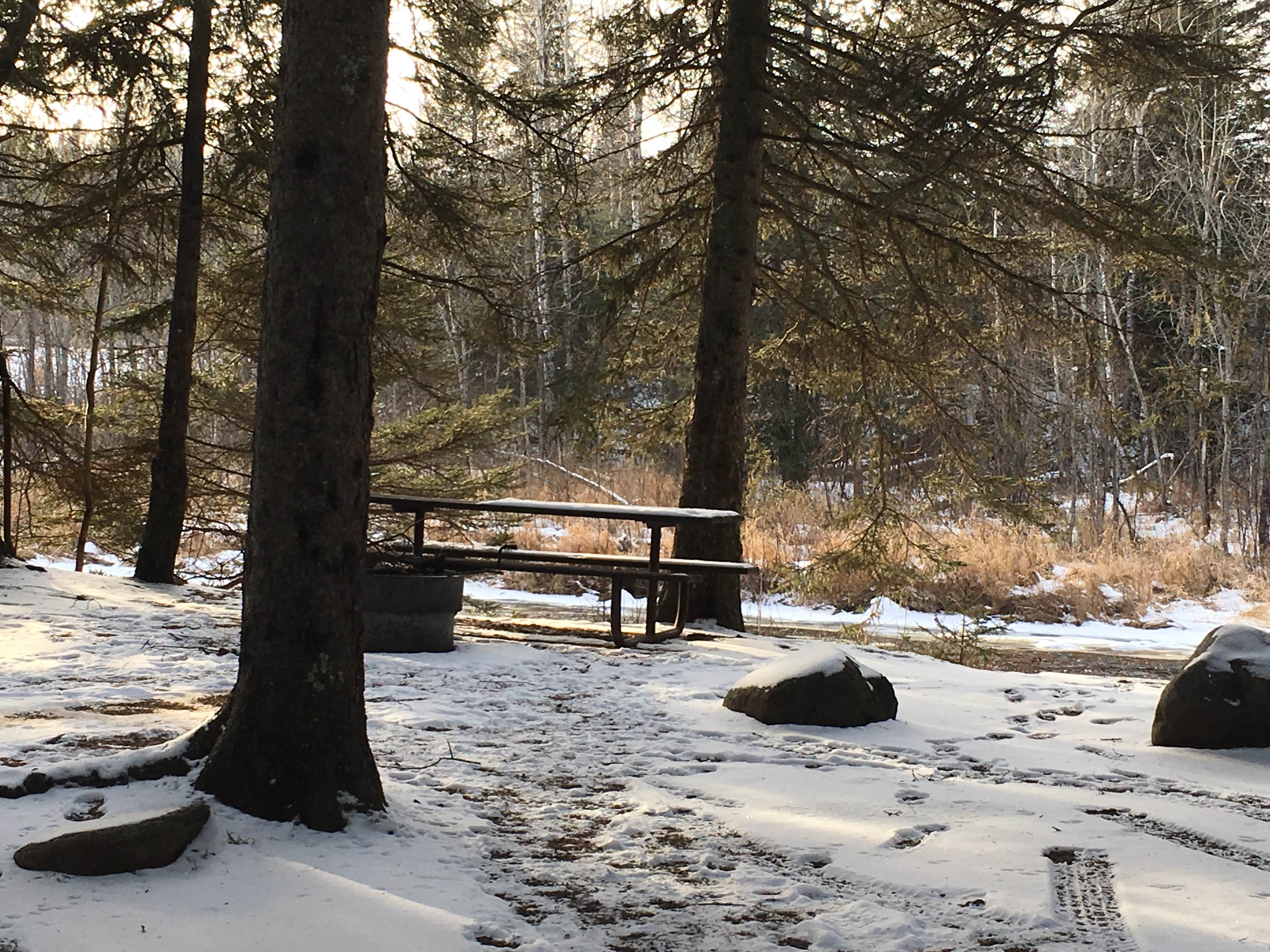 Camper submitted image from Eckbeck Finland State Forest - 1