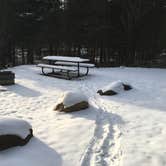 Review photo of Finland State Forest Campground by Janet R., April 13, 2019